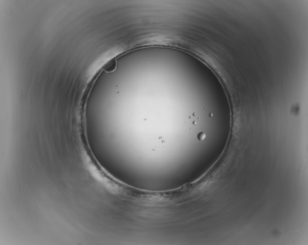 X0000111791042200907301141