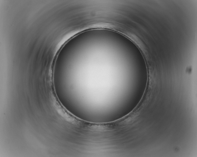 X0000111791044200907301141