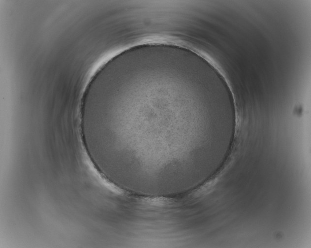 X0000111791045200907301141