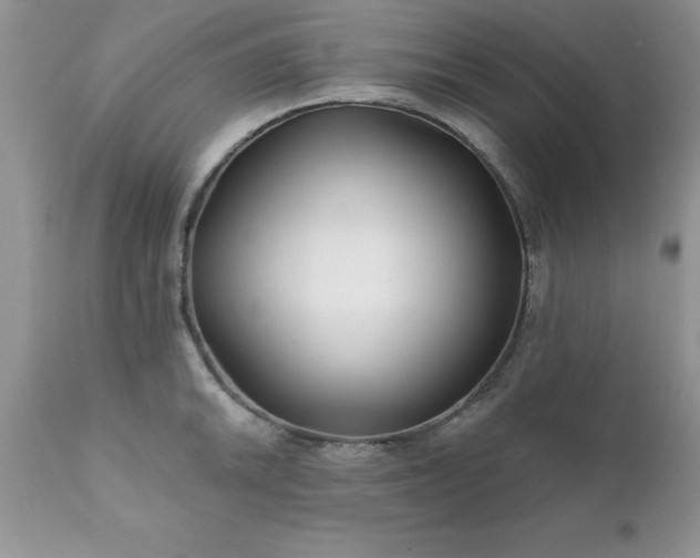 X0000111791046200907301141