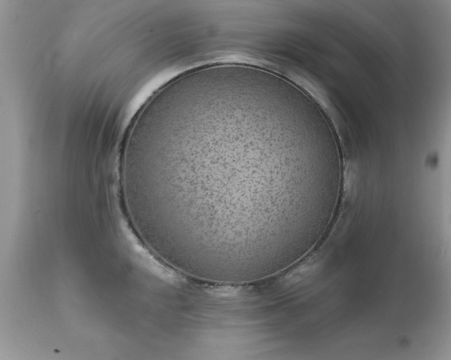 X0000111791048200907301141