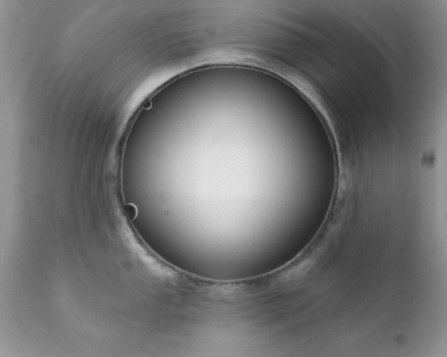 X0000111791053200907301141