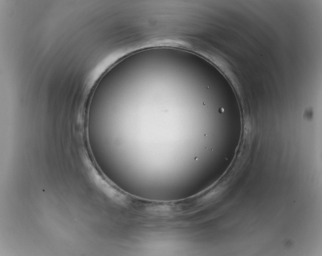 X0000111791054200907301141