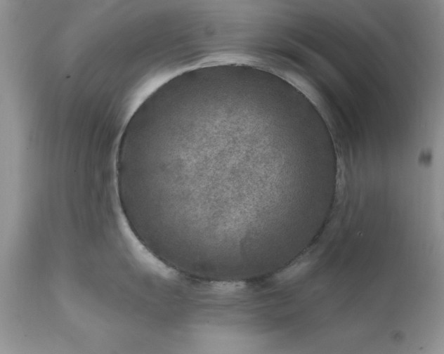 X0000111791055200907301141