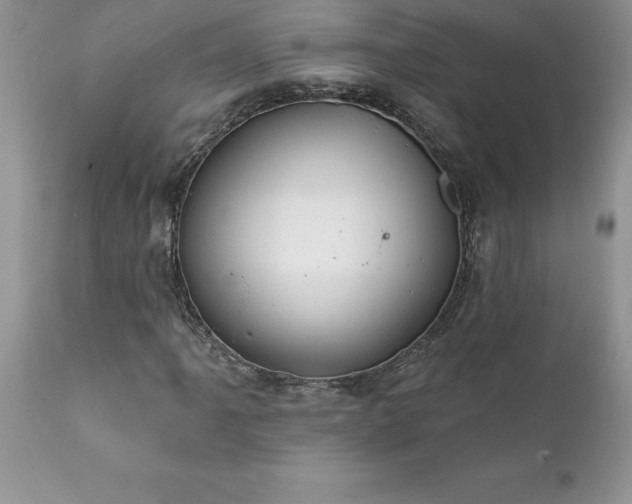 X0000111791061200907301140