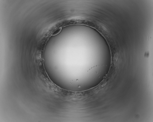 X0000111791062200907301140