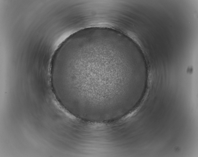 X0000111791071200907301140