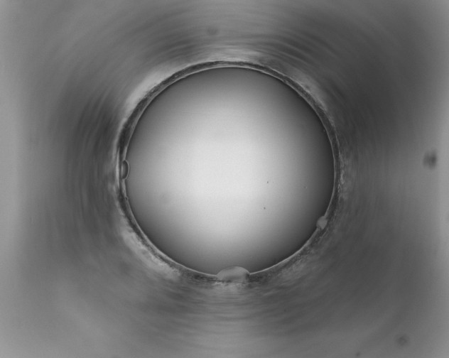 X0000111791080200907301140