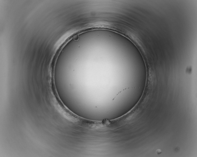 X0000111791082200907301140