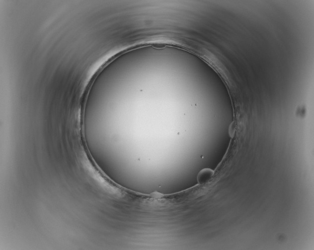 X0000111791092200907301140