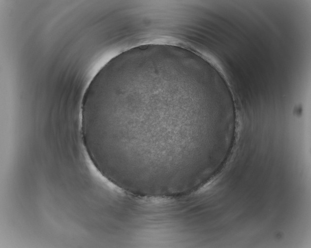 X0000111791095200907301139