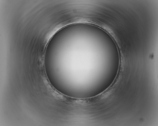 X0000111791097200907301139