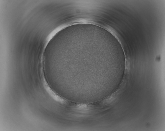 X0000111791098200907301139