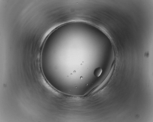 X0000111791100200907301139