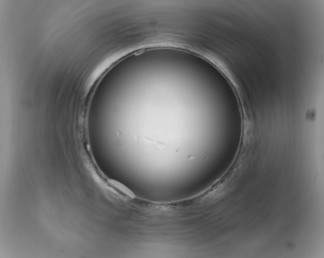 X0000111791101200907301139