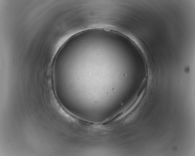 X0000111791102200907301139