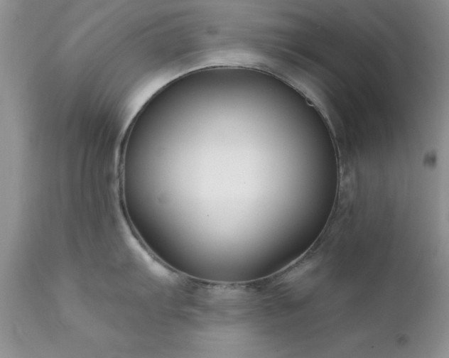 X0000111791103200907301139