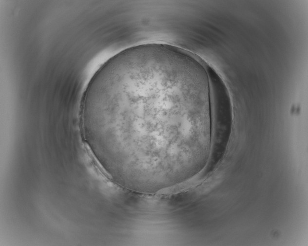 X0000111791104200907301139