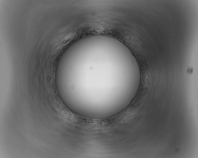 X0000111791105200907301139