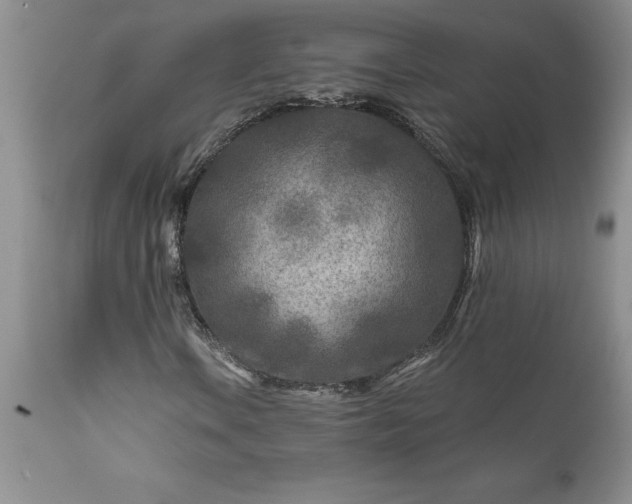 X0000111791106200907301139