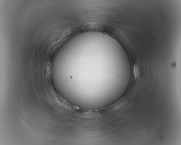 X0000111791107200907301139