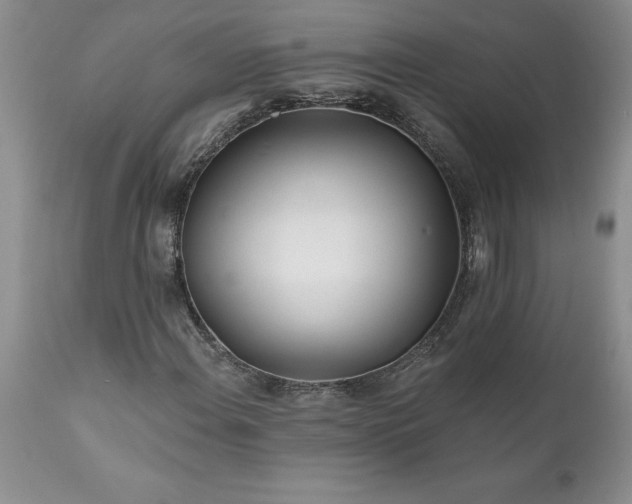 X0000111791108200907301139