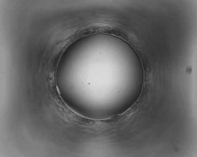 X0000111791109200907301139