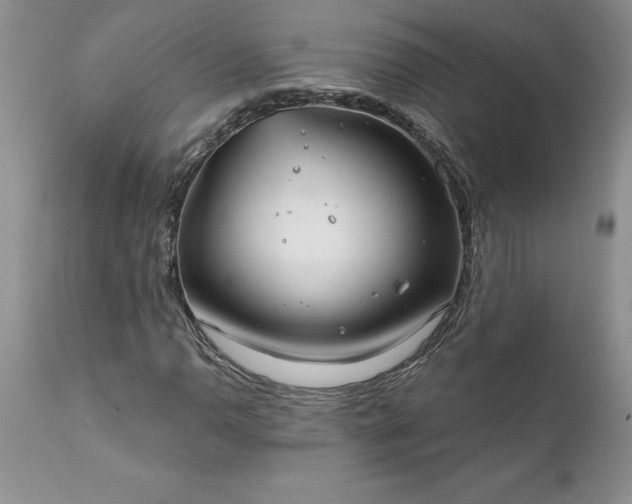 X0000111791110200907301139