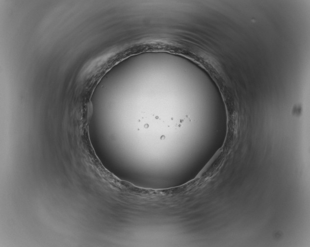 X0000111791111200907301139