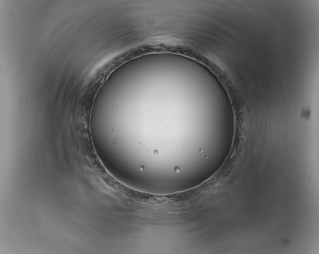 X0000111791112200907301139