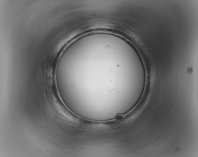 X0000111791113200907301139