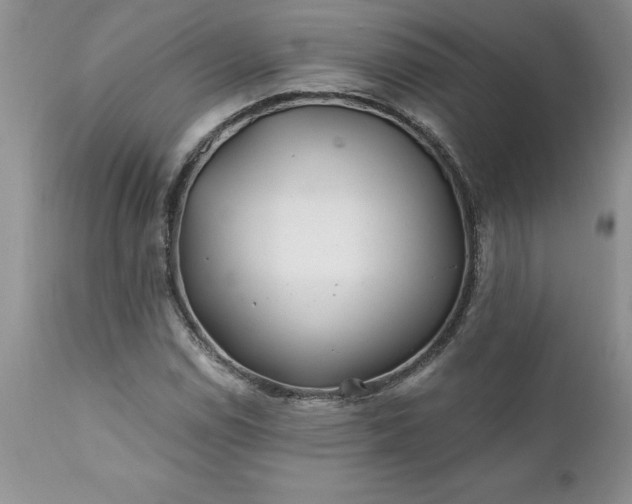 X0000111791114200907301139