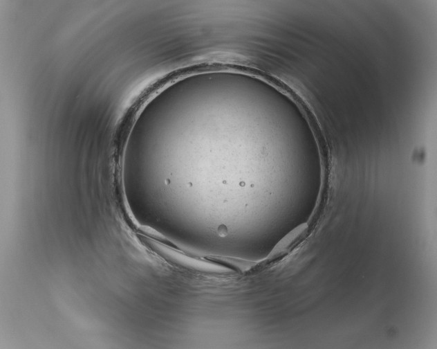 X0000111791115200907301139