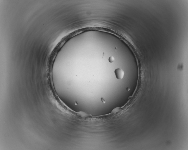 X0000111791116200907301139