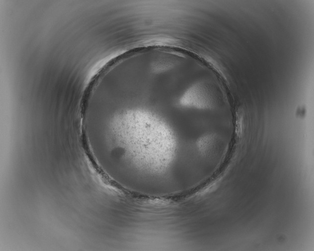 X0000111791117200907301139