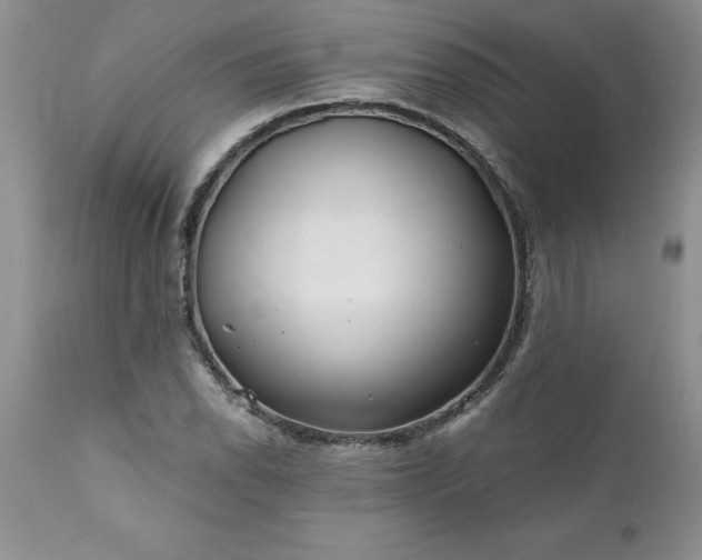 X0000111791118200907301139