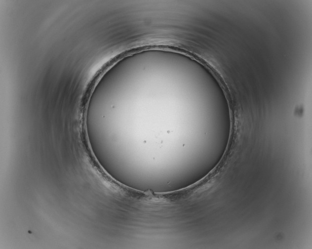 X0000111791119200907301139