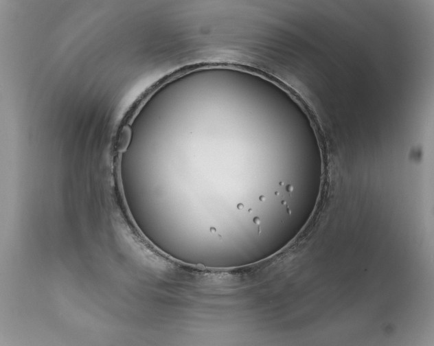 X0000111791120200907301139