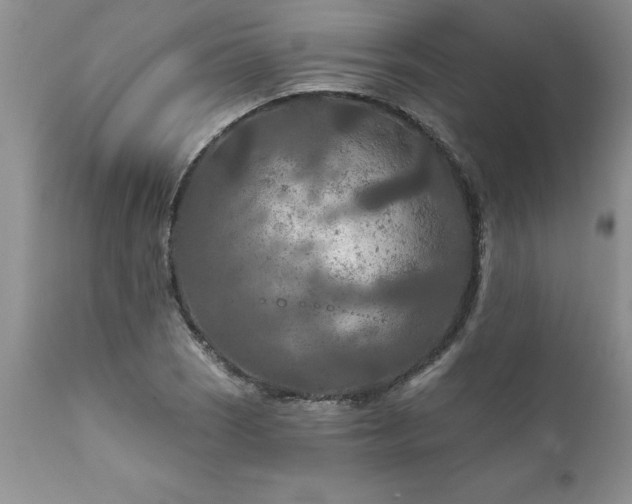 X0000111791121200907301139