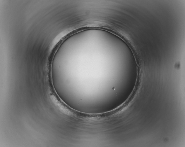 X0000111791122200907301139