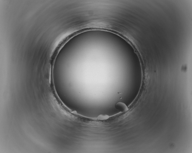 X0000111791123200907301139