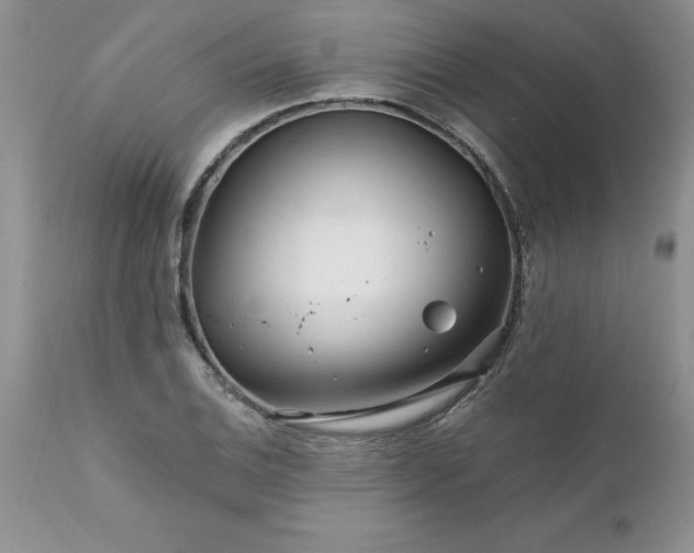 X0000111791124200907301139