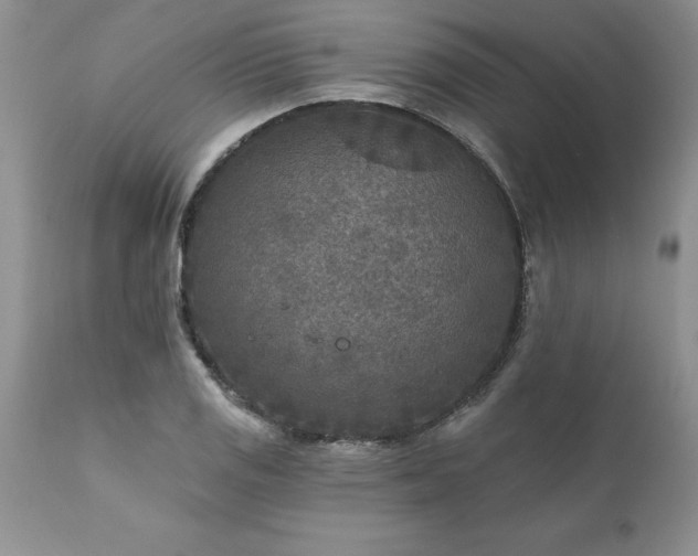 X0000111791125200907301139