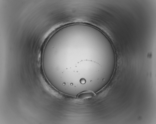 X0000111791126200907301139