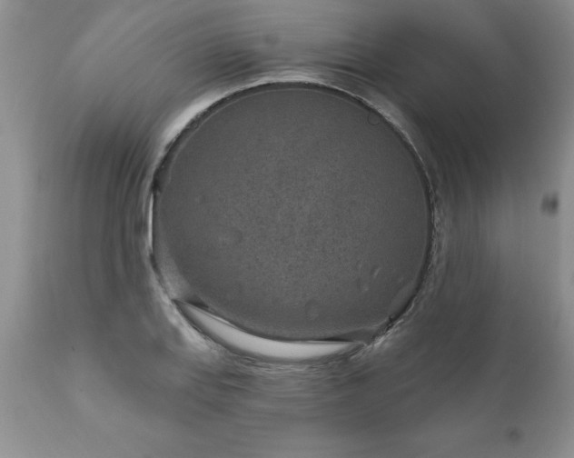 X0000111791127200907301139