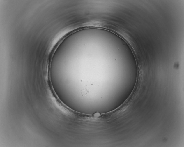 X0000111791131200907301139