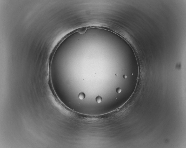 X0000111791132200907301139