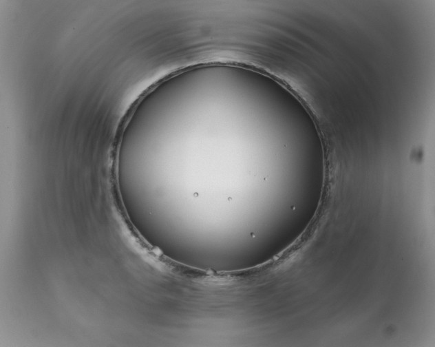 X0000111791134200907301139