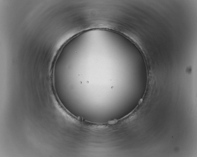 X0000111791135200907301139