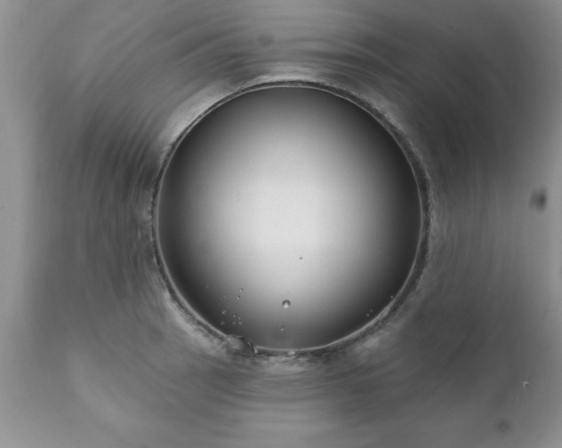 X0000111791137200907301139